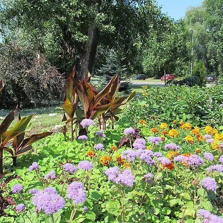 Отель Maj Medical Wellness