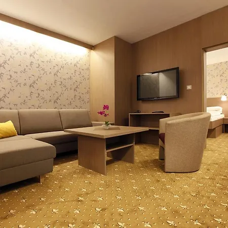 Отель Maj Medical Wellness Пьештяни