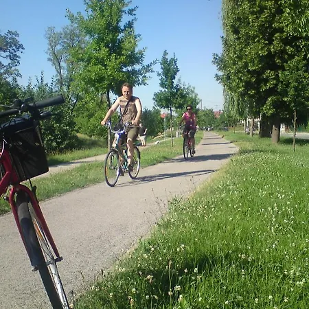 Отель Maj Medical Wellness